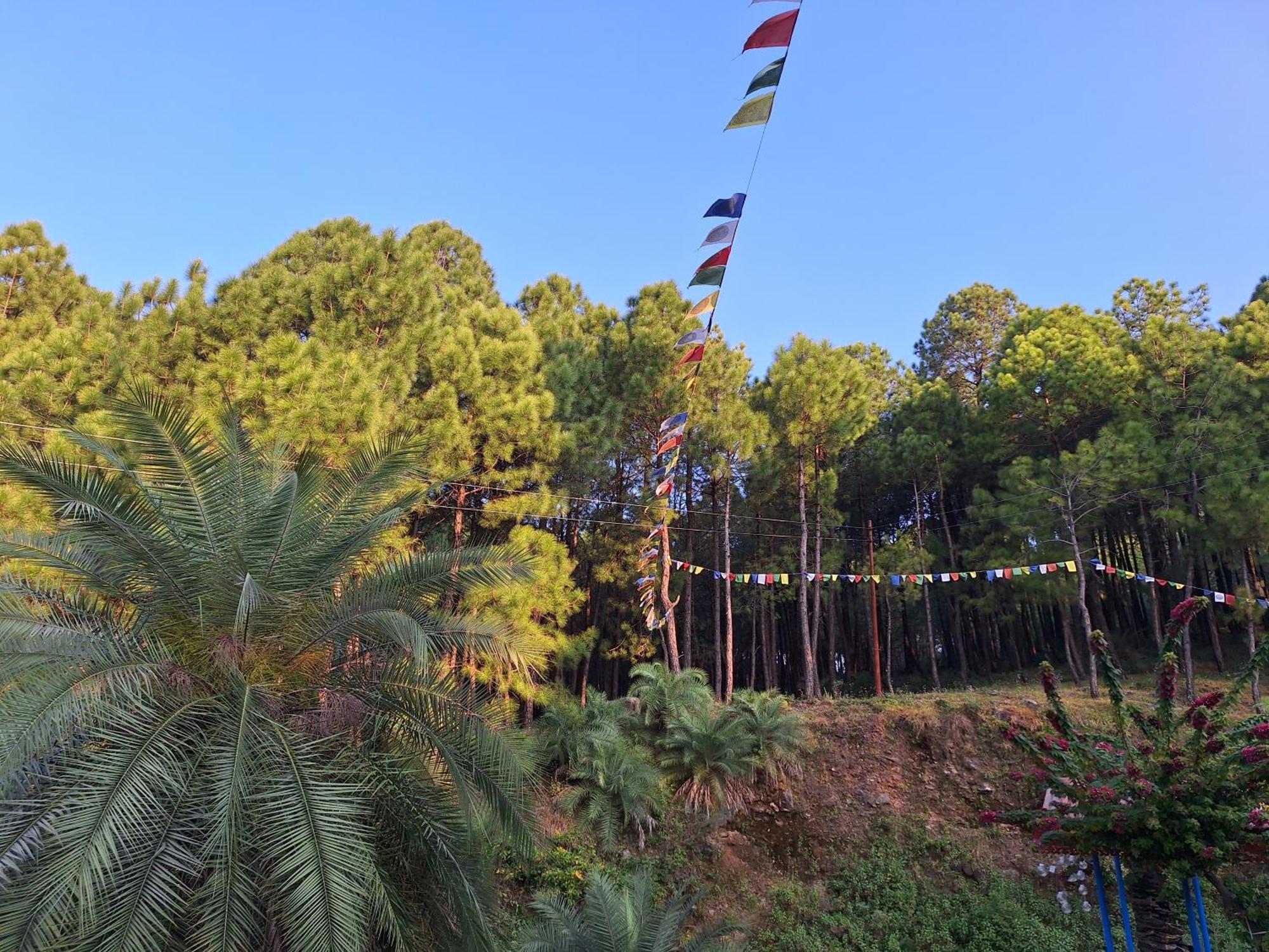 Tathastu Bir -Homestay ,Dorm,Hostel Екстер'єр фото