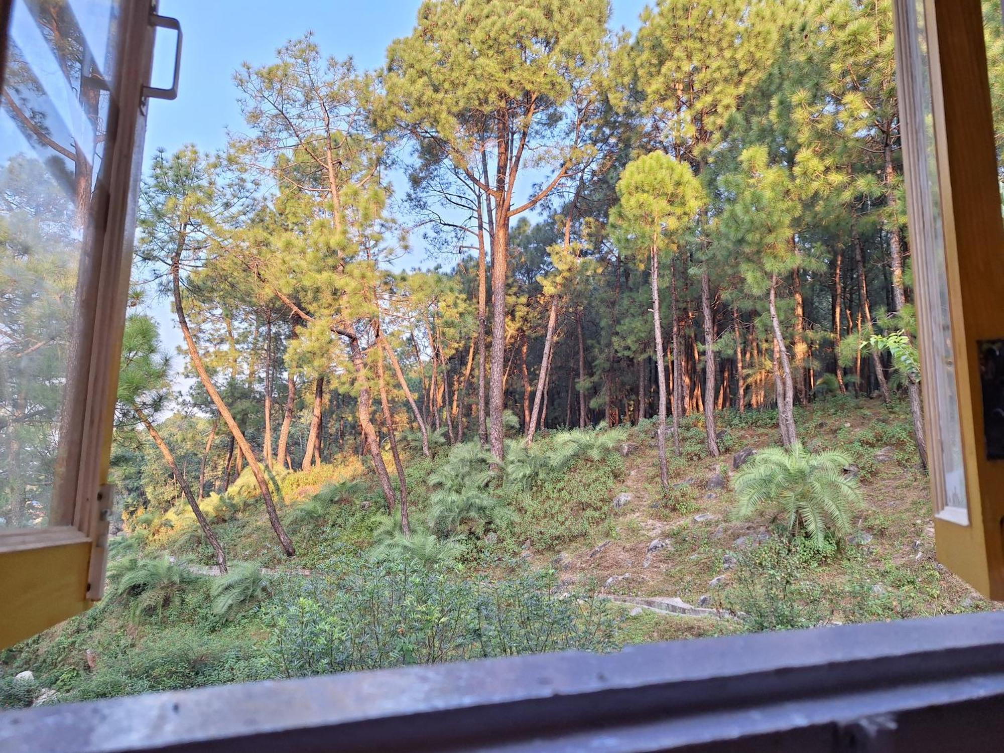 Tathastu Bir -Homestay ,Dorm,Hostel Екстер'єр фото