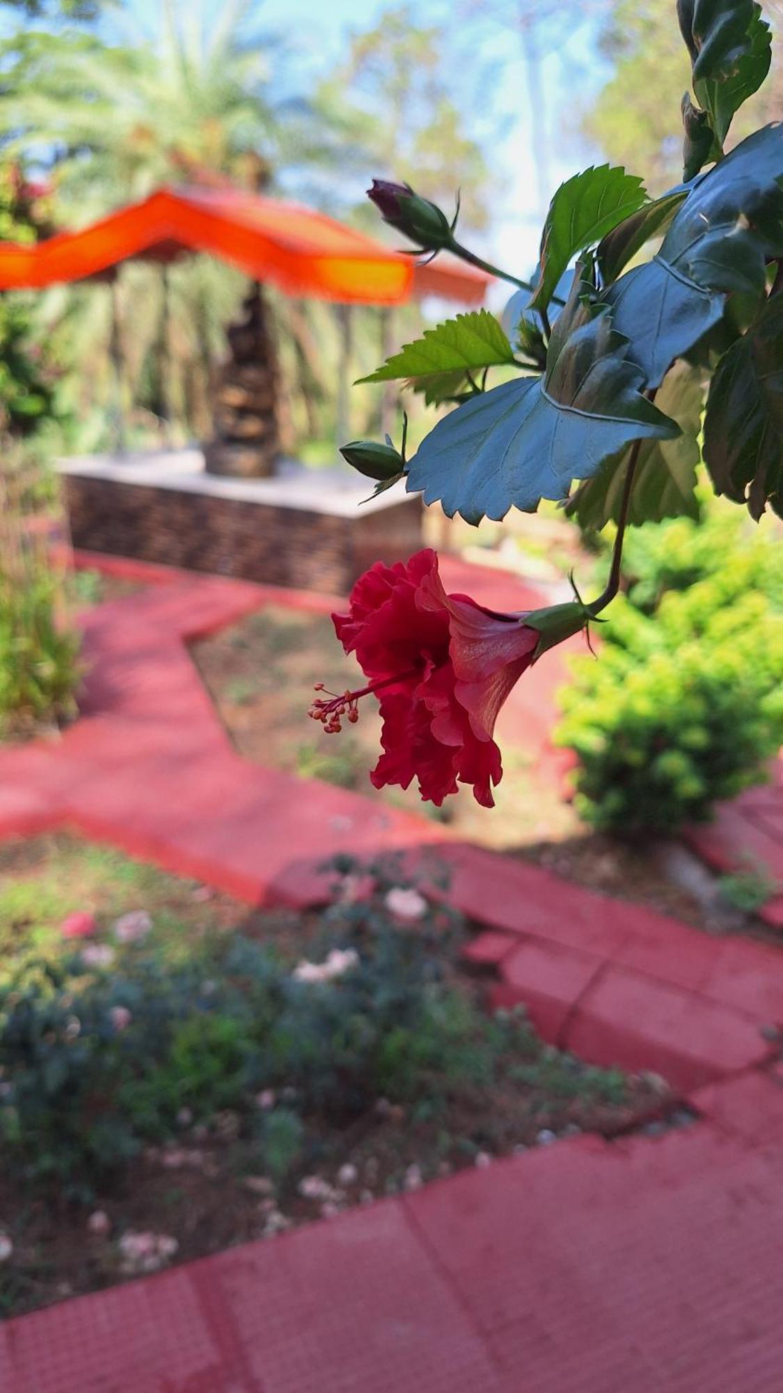 Tathastu Bir -Homestay ,Dorm,Hostel Екстер'єр фото