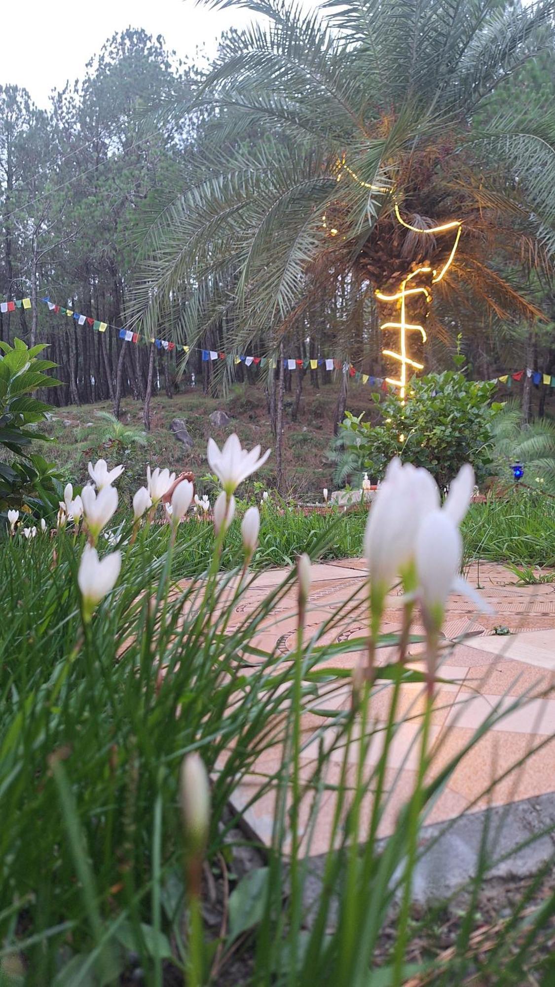 Tathastu Bir -Homestay ,Dorm,Hostel Екстер'єр фото