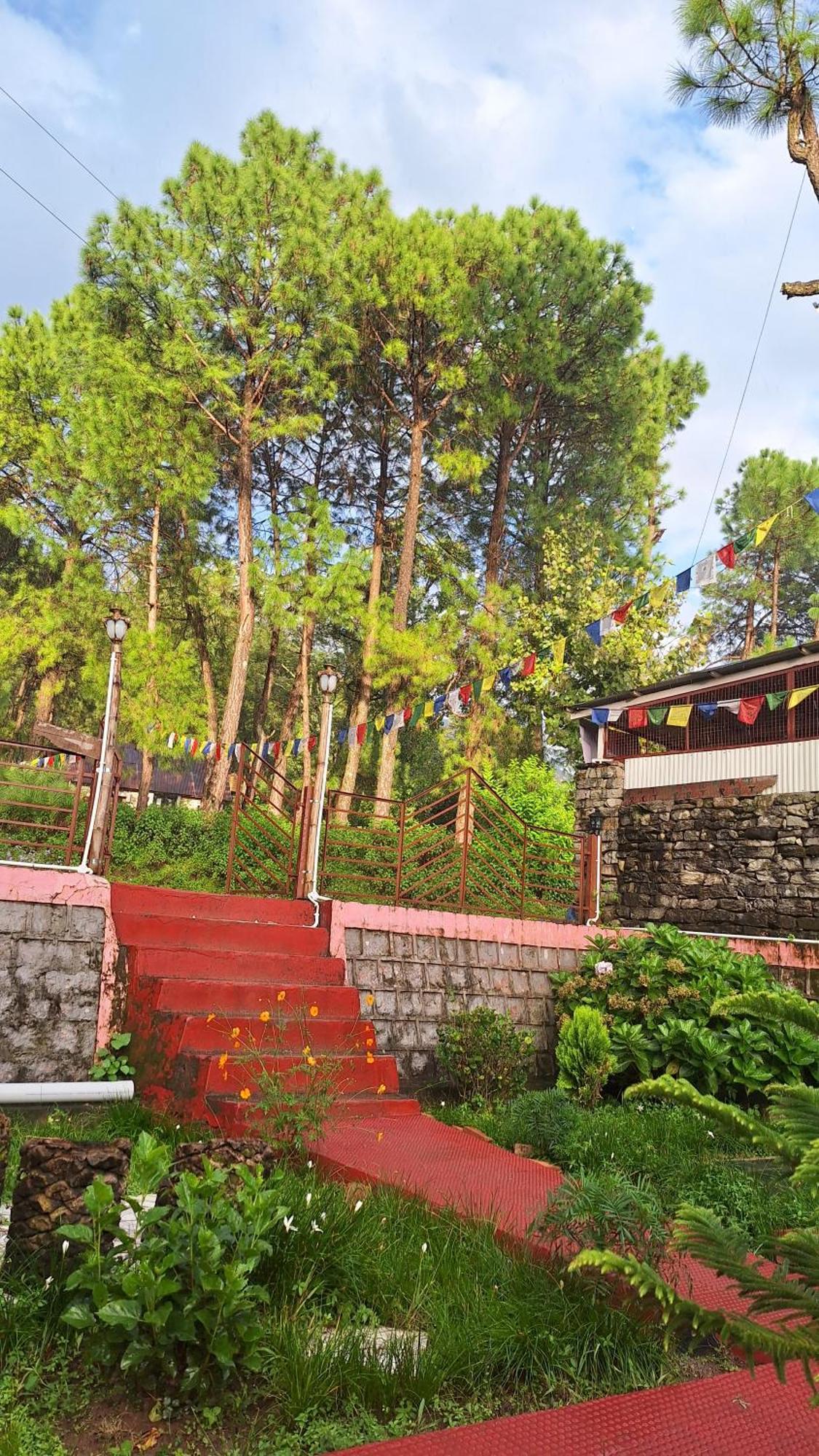 Tathastu Bir -Homestay ,Dorm,Hostel Екстер'єр фото